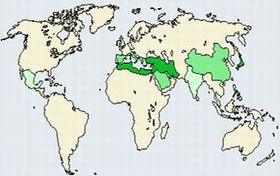ベーチェット病の世界分布